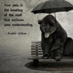 Pains and Understandings