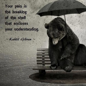 Pains and Understandings